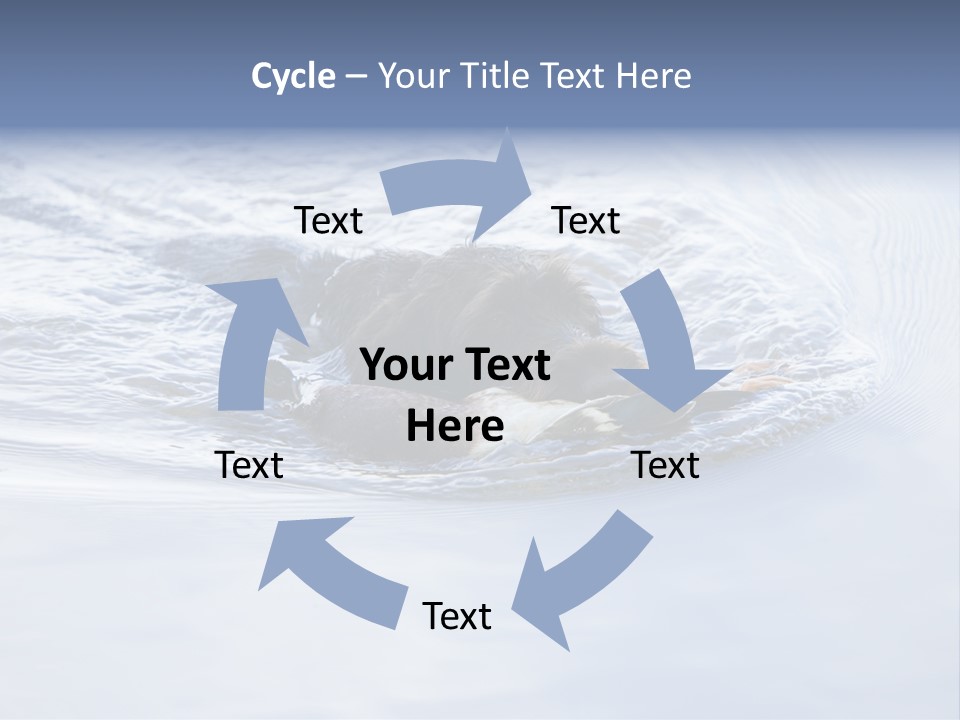 Outdoor Domestic Animal Game Keeping PowerPoint Template