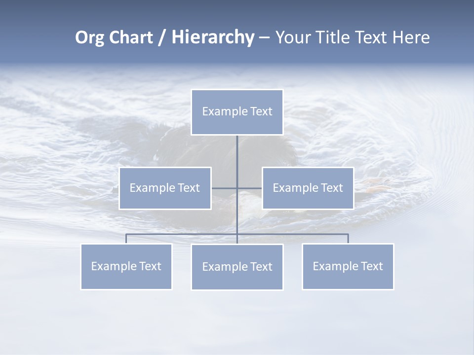 Outdoor Domestic Animal Game Keeping PowerPoint Template