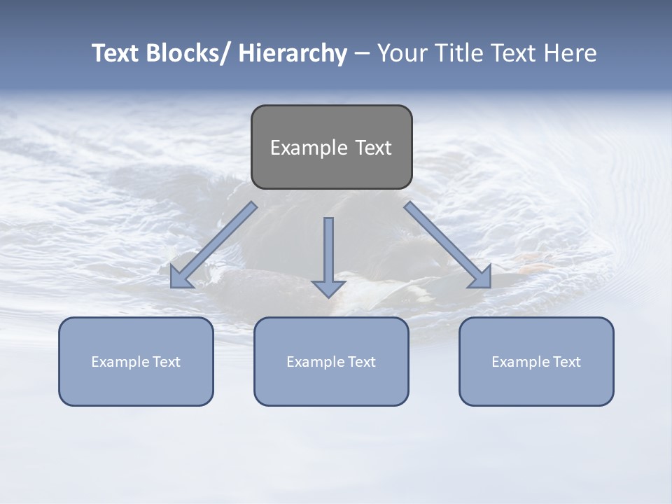 Outdoor Domestic Animal Game Keeping PowerPoint Template