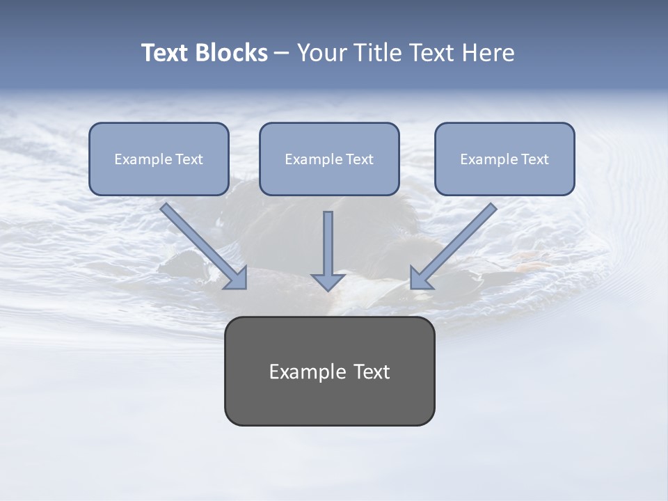 Outdoor Domestic Animal Game Keeping PowerPoint Template