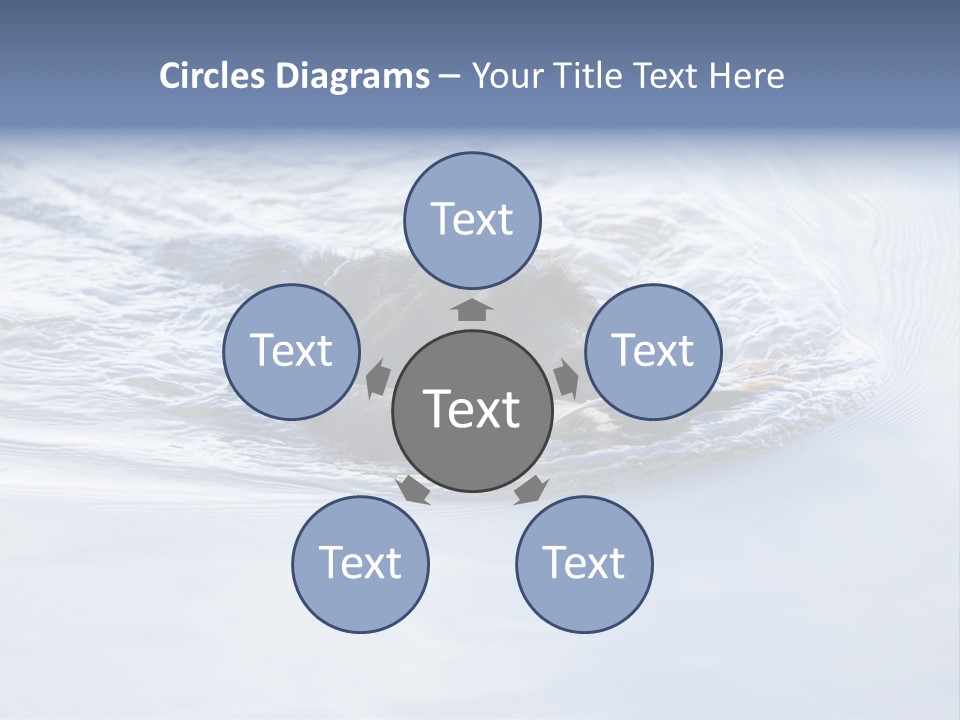 Outdoor Domestic Animal Game Keeping PowerPoint Template