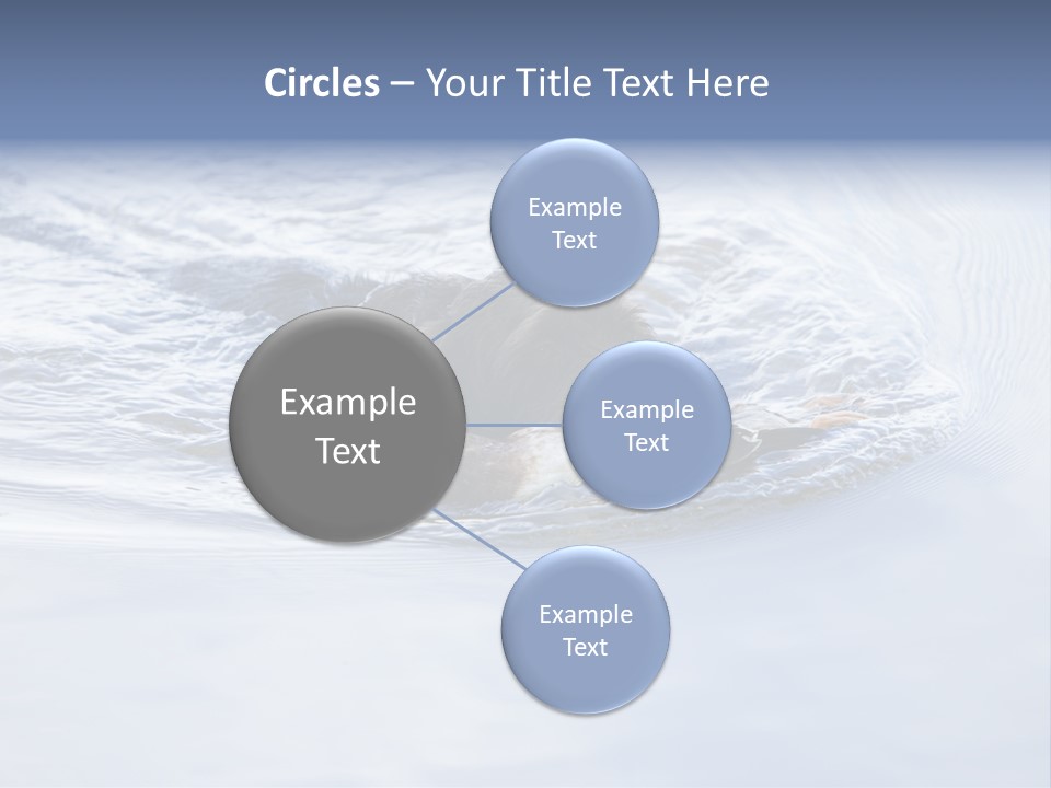 Outdoor Domestic Animal Game Keeping PowerPoint Template