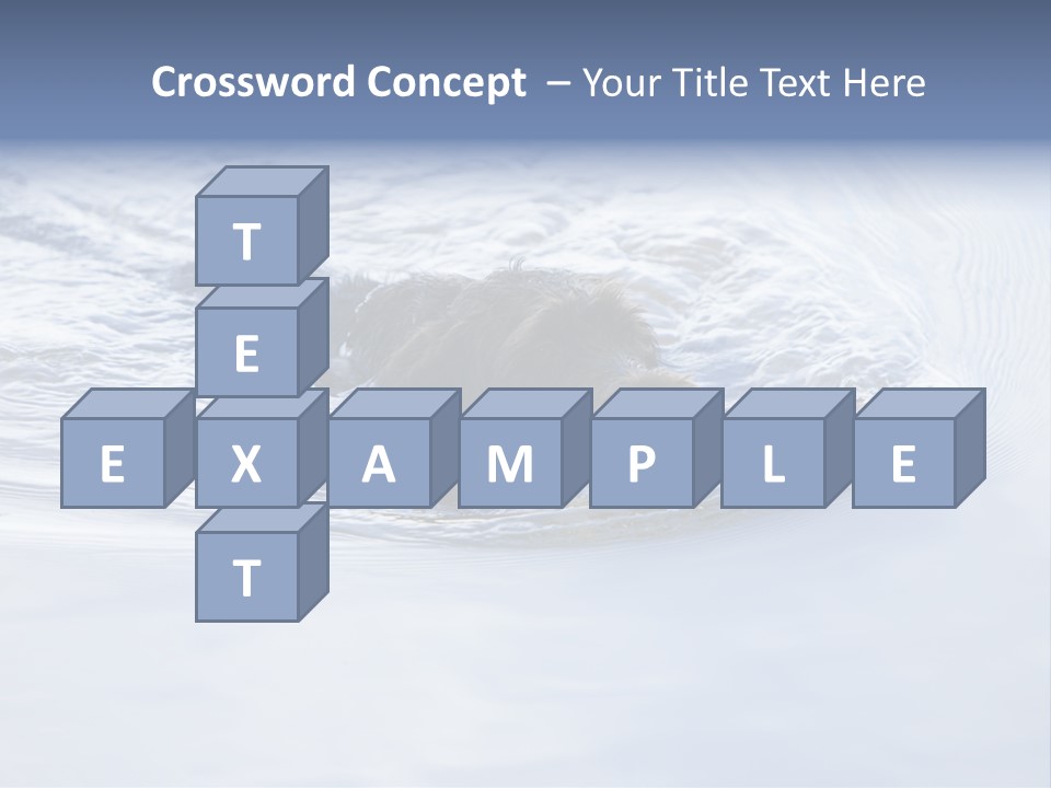 Outdoor Domestic Animal Game Keeping PowerPoint Template