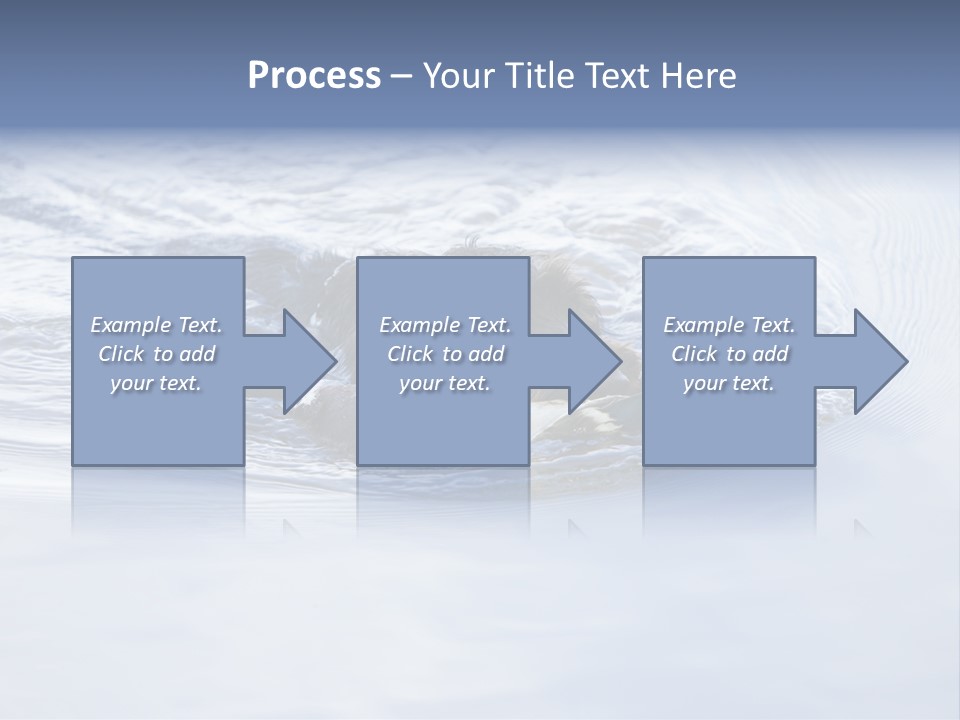 Outdoor Domestic Animal Game Keeping PowerPoint Template