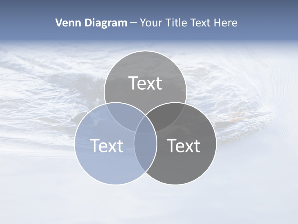 Outdoor Domestic Animal Game Keeping PowerPoint Template