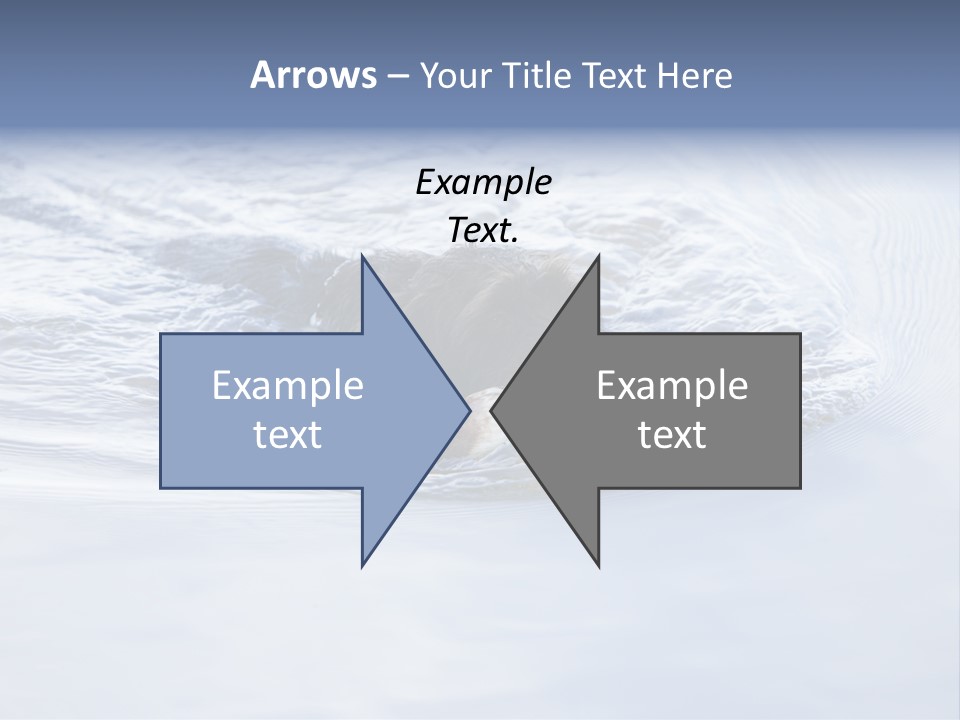 Outdoor Domestic Animal Game Keeping PowerPoint Template