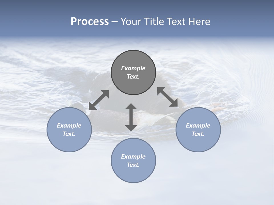 Outdoor Domestic Animal Game Keeping PowerPoint Template