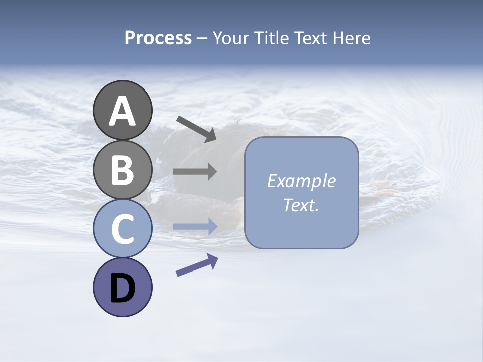 Outdoor Domestic Animal Game Keeping PowerPoint Template