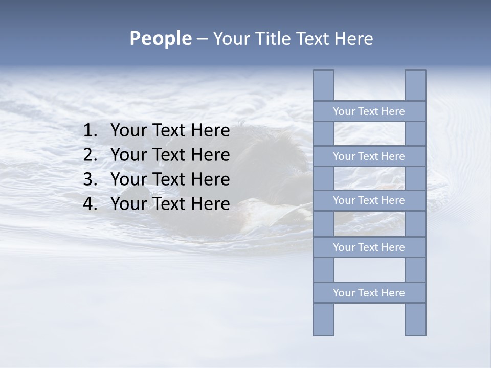 Outdoor Domestic Animal Game Keeping PowerPoint Template