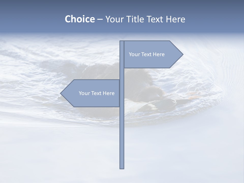 Outdoor Domestic Animal Game Keeping PowerPoint Template