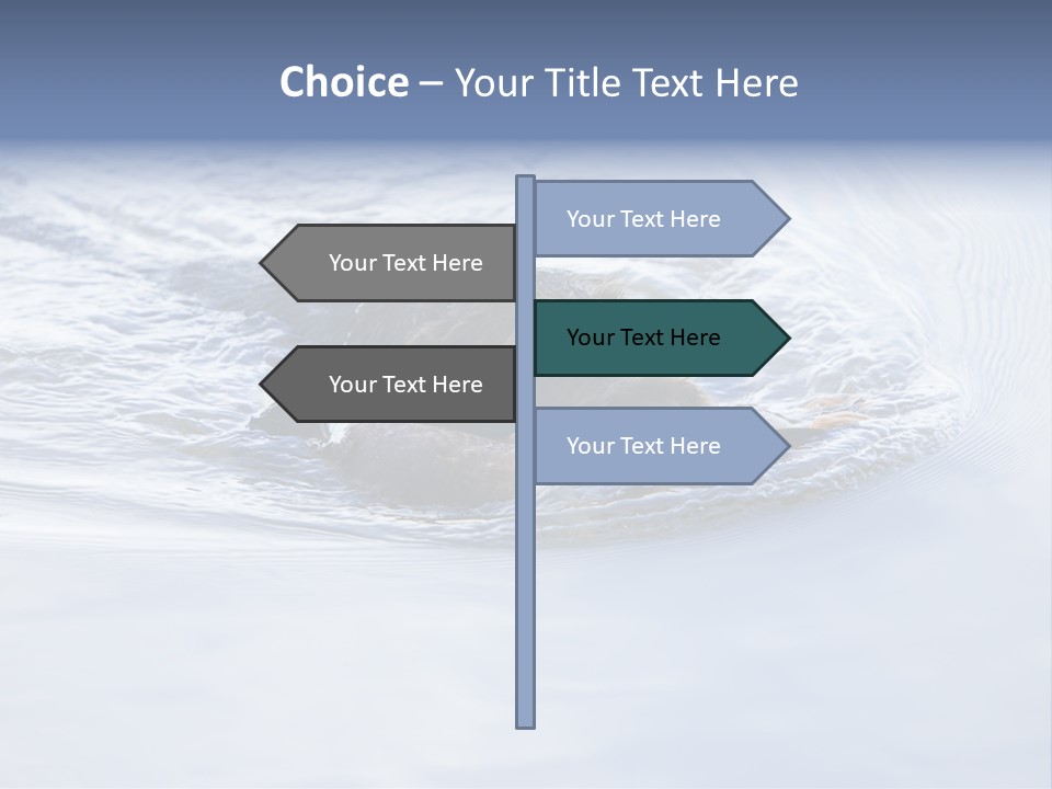 Outdoor Domestic Animal Game Keeping PowerPoint Template