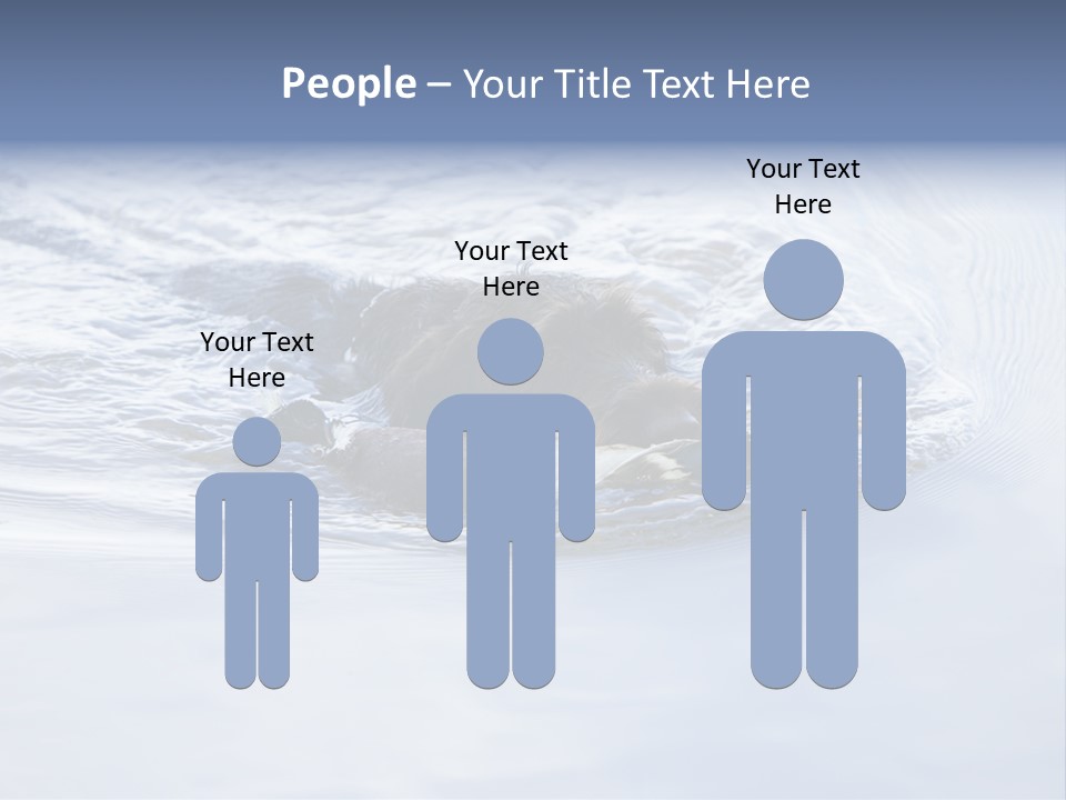 Outdoor Domestic Animal Game Keeping PowerPoint Template