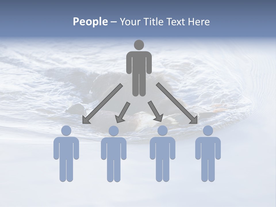 Outdoor Domestic Animal Game Keeping PowerPoint Template