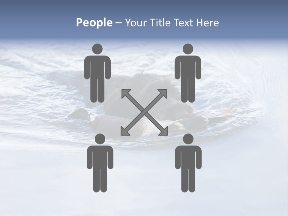 Outdoor Domestic Animal Game Keeping PowerPoint Template