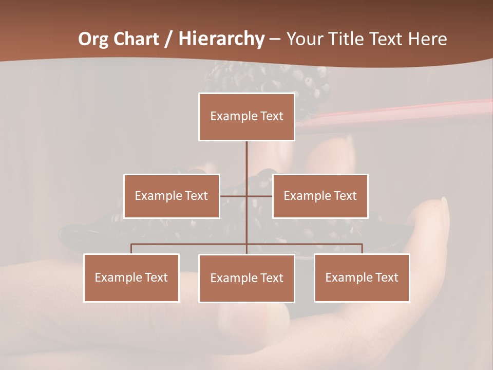 Chewing Dessert Freshness PowerPoint Template