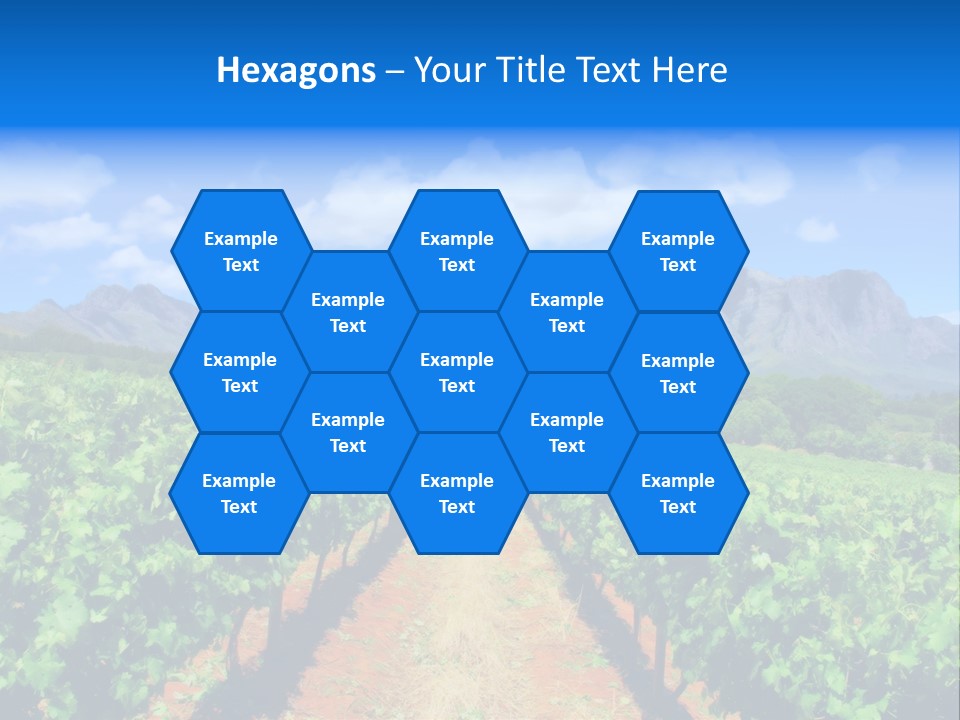 Hill Winemaking Winery PowerPoint Template