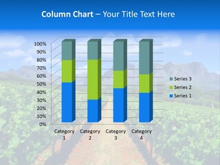 Hill Winemaking Winery PowerPoint Template