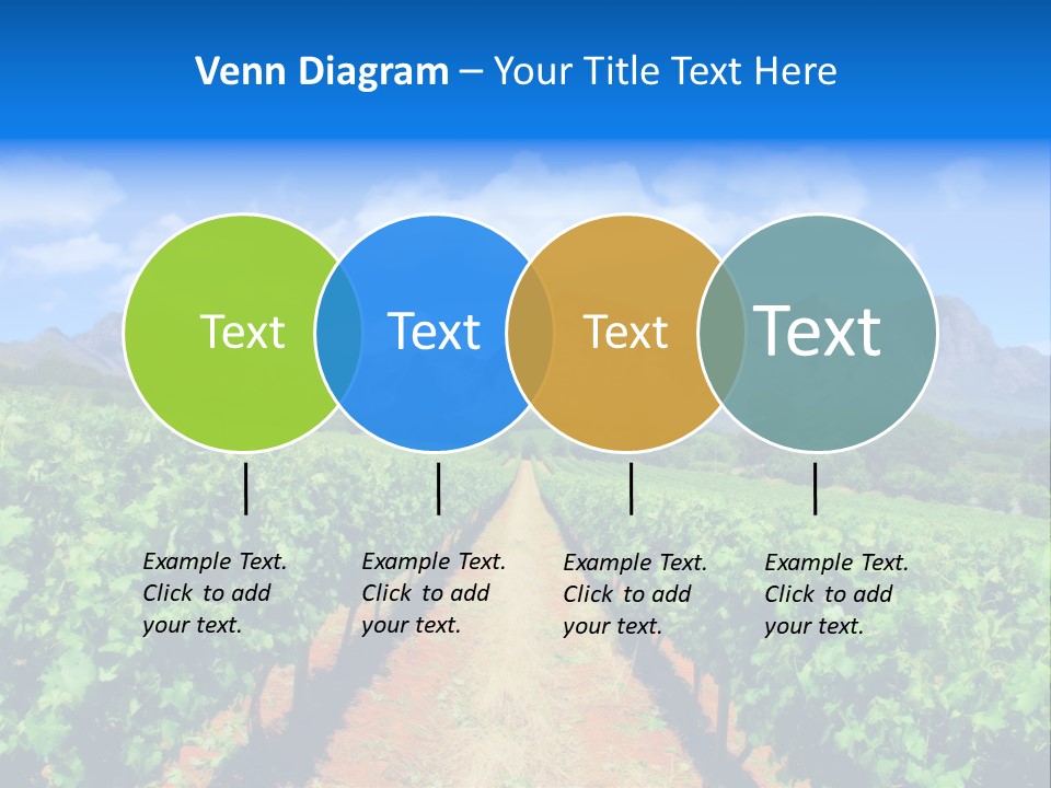 Hill Winemaking Winery PowerPoint Template