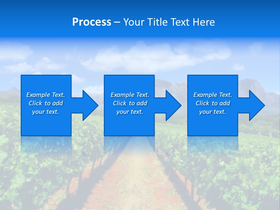 Hill Winemaking Winery PowerPoint Template