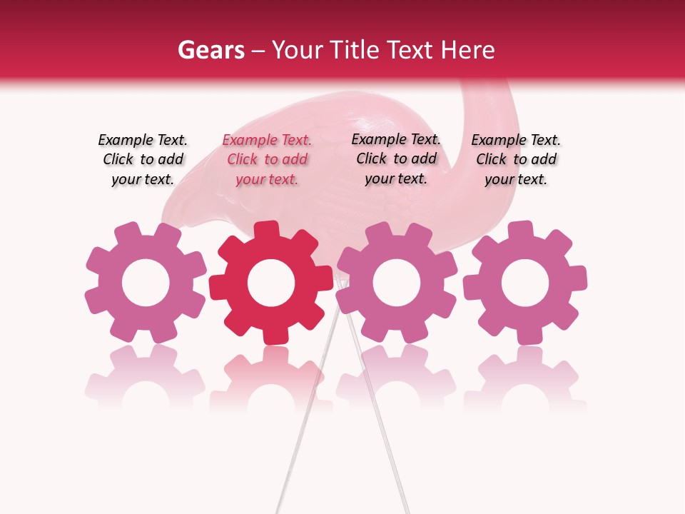 Isolated Studio Panoramic PowerPoint Template