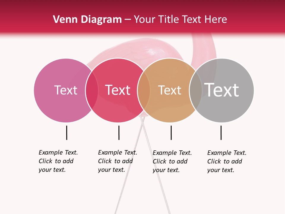 Isolated Studio Panoramic PowerPoint Template