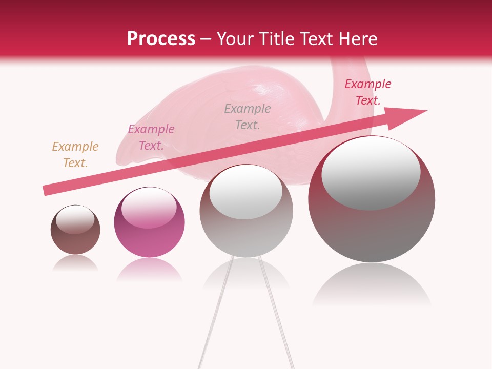 Isolated Studio Panoramic PowerPoint Template