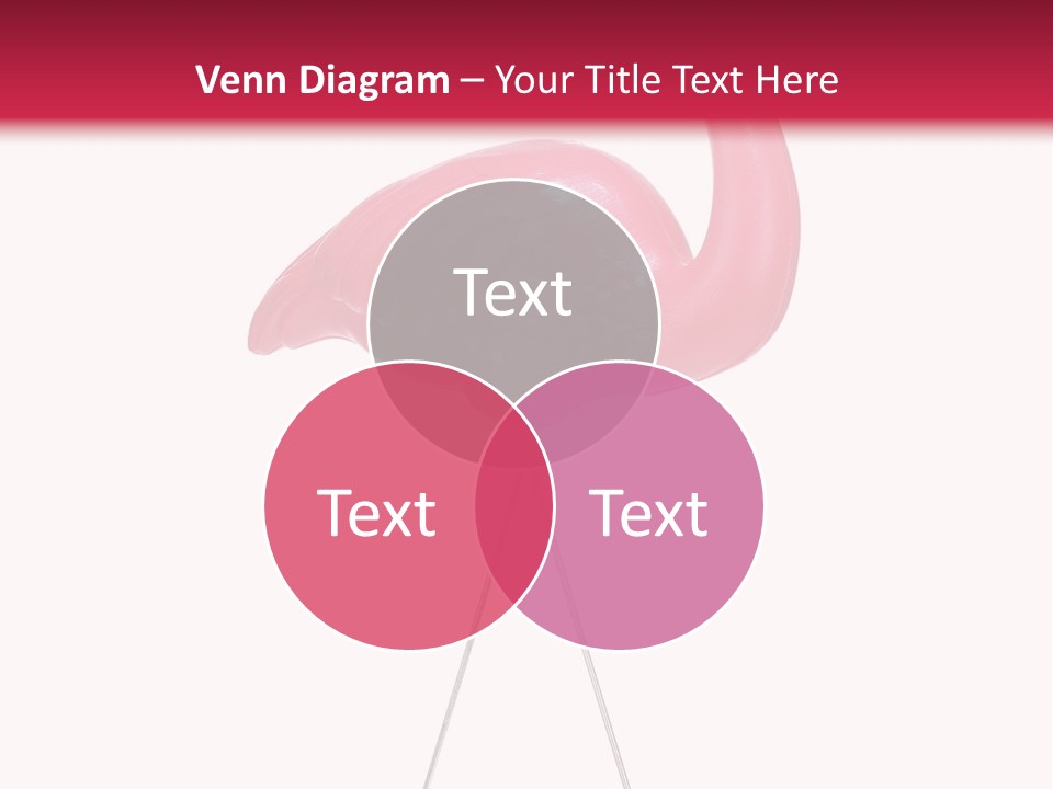 Isolated Studio Panoramic PowerPoint Template