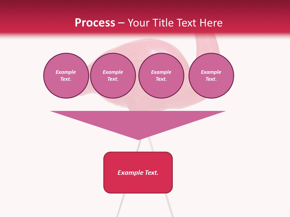 Isolated Studio Panoramic PowerPoint Template