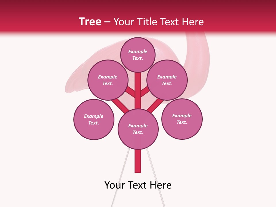 Isolated Studio Panoramic PowerPoint Template