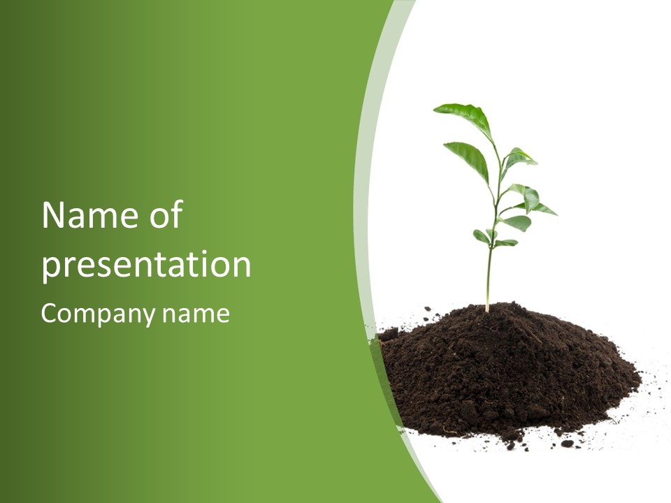 Leaf Fertility Stem PowerPoint Template