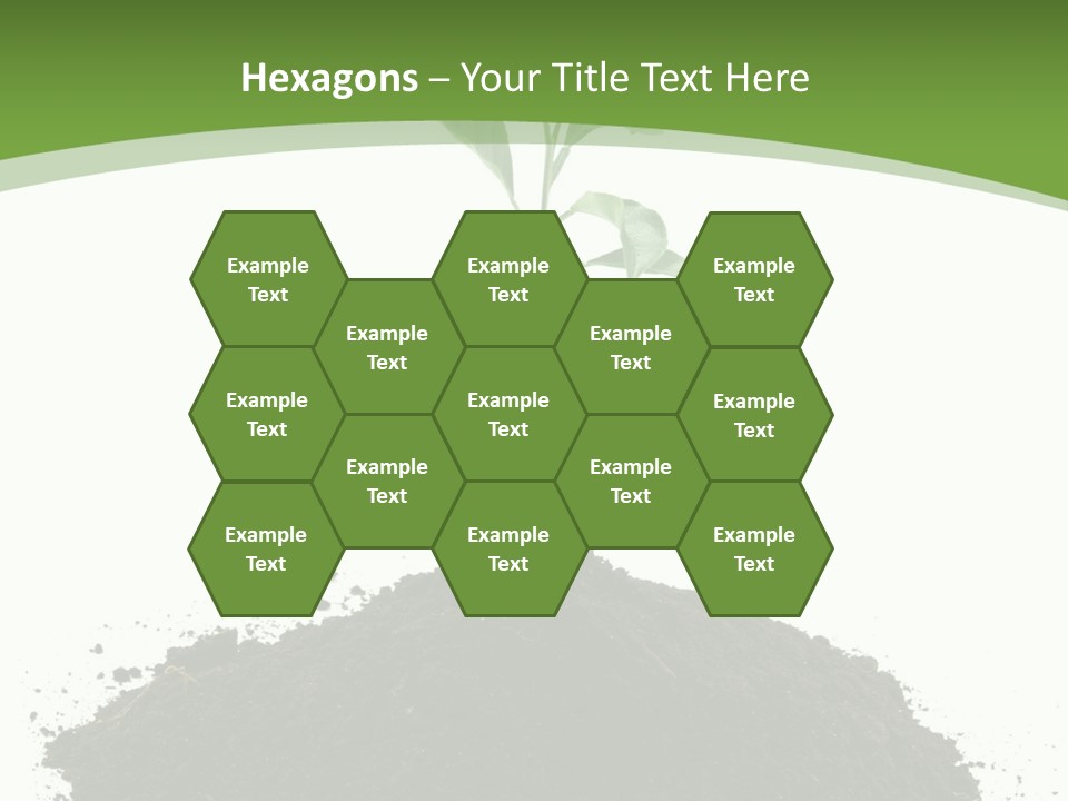 Leaf Fertility Stem PowerPoint Template