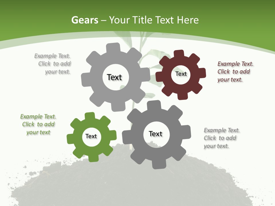 Leaf Fertility Stem PowerPoint Template