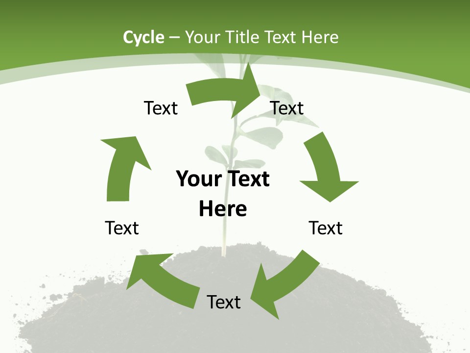 Leaf Fertility Stem PowerPoint Template