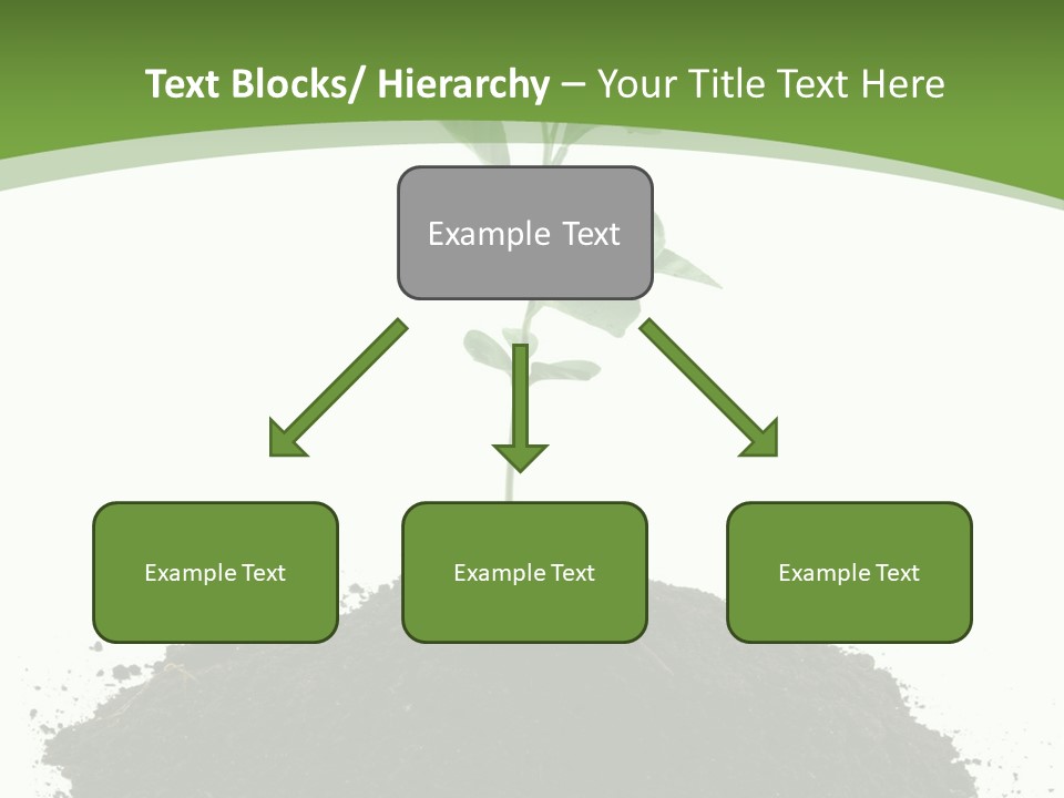 Leaf Fertility Stem PowerPoint Template