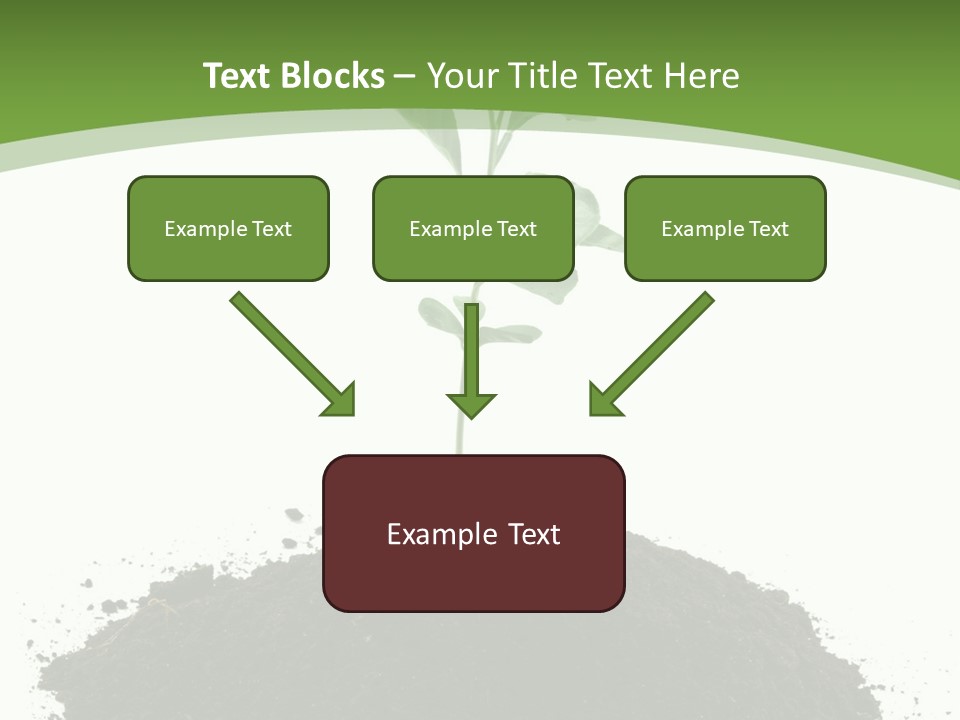 Leaf Fertility Stem PowerPoint Template
