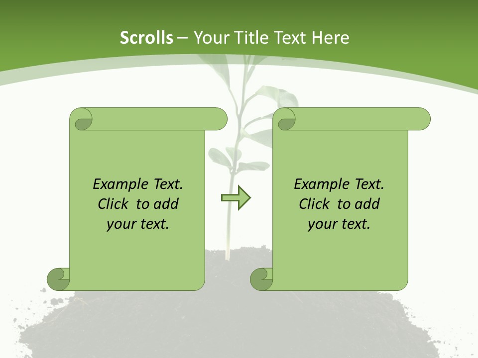 Leaf Fertility Stem PowerPoint Template