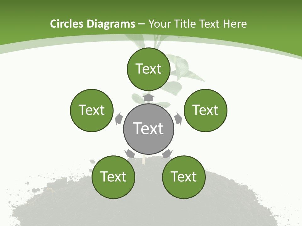 Leaf Fertility Stem PowerPoint Template