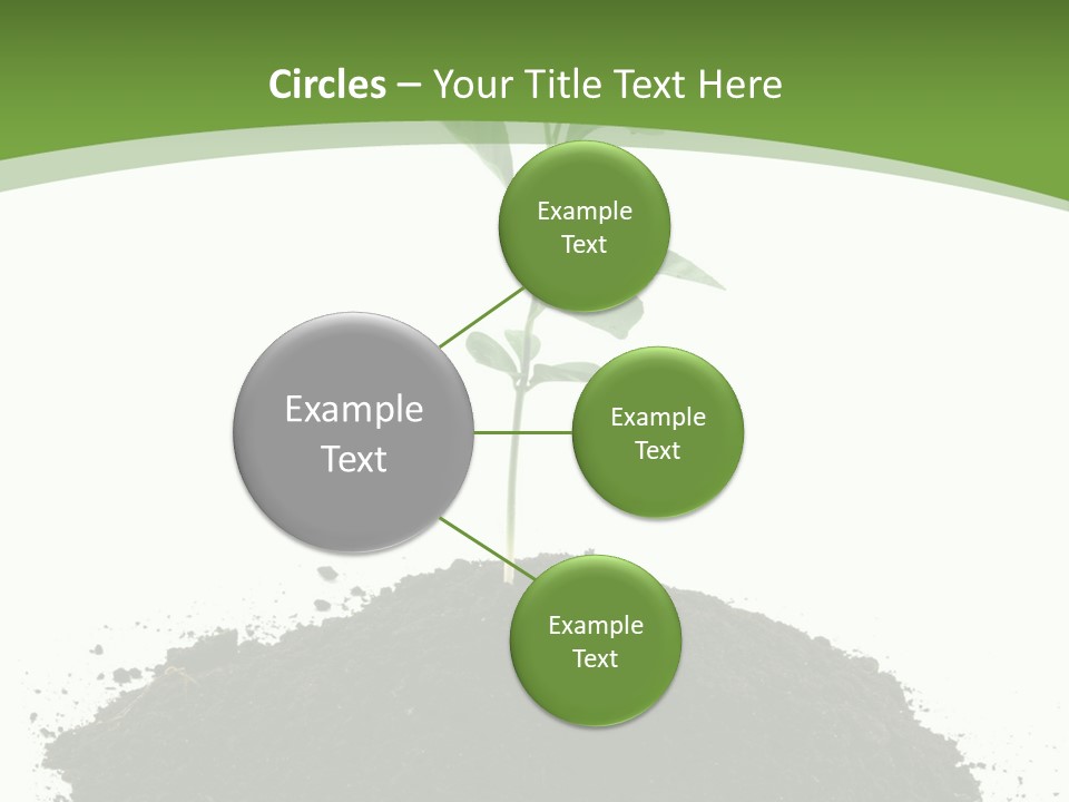 Leaf Fertility Stem PowerPoint Template