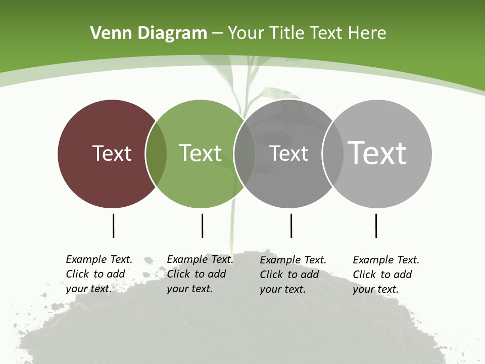 Leaf Fertility Stem PowerPoint Template