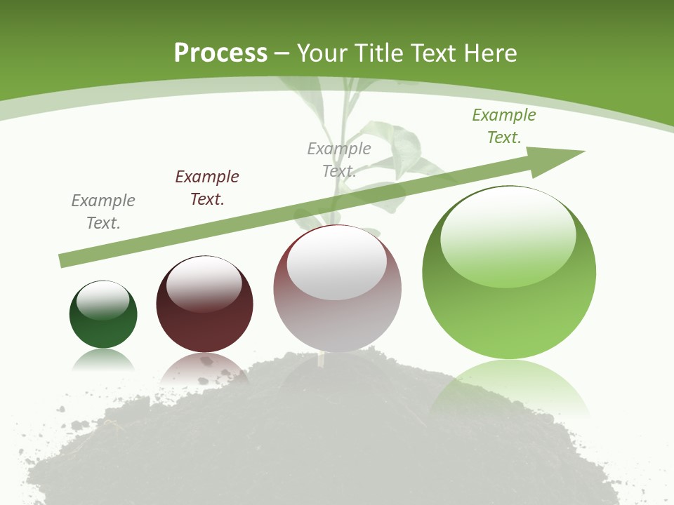 Leaf Fertility Stem PowerPoint Template