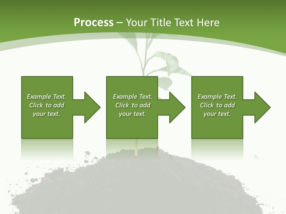 Leaf Fertility Stem PowerPoint Template