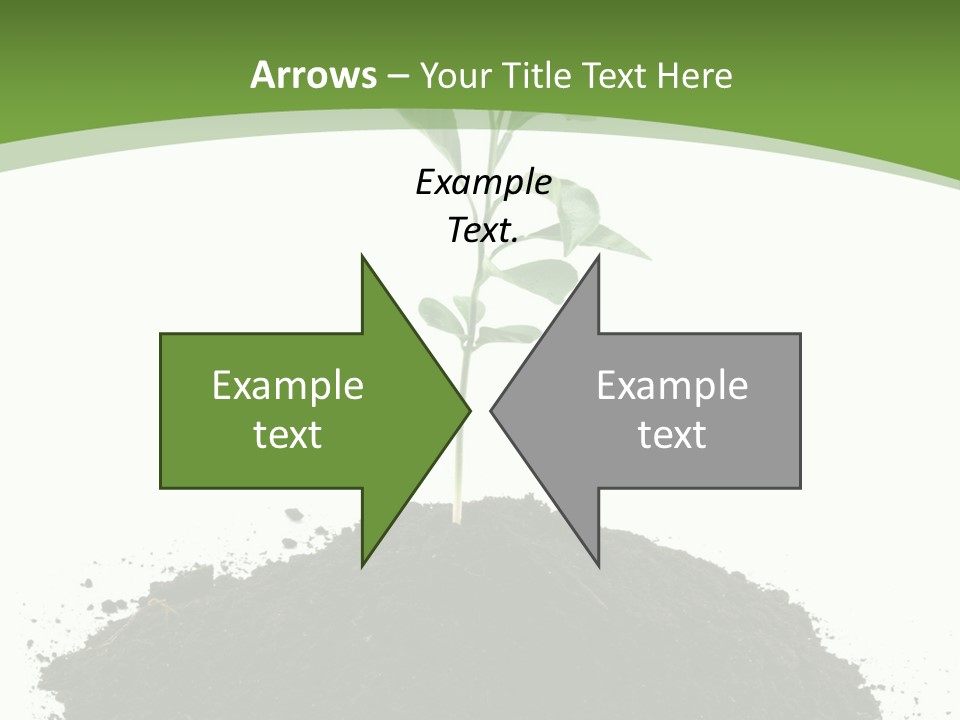 Leaf Fertility Stem PowerPoint Template