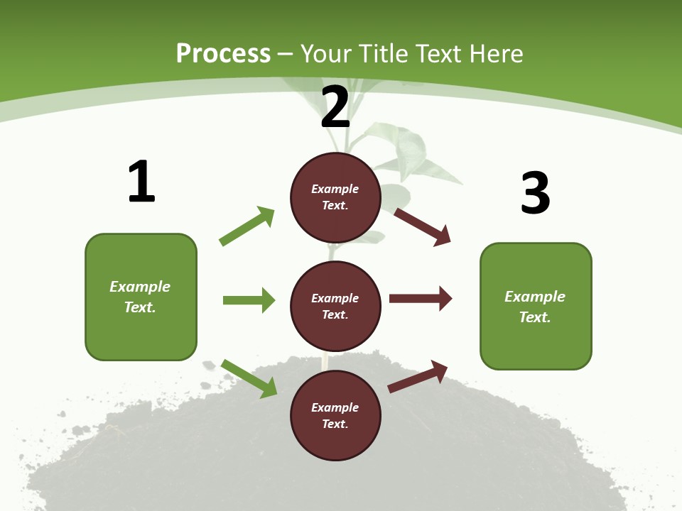 Leaf Fertility Stem PowerPoint Template