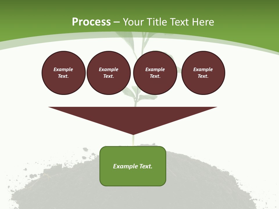 Leaf Fertility Stem PowerPoint Template