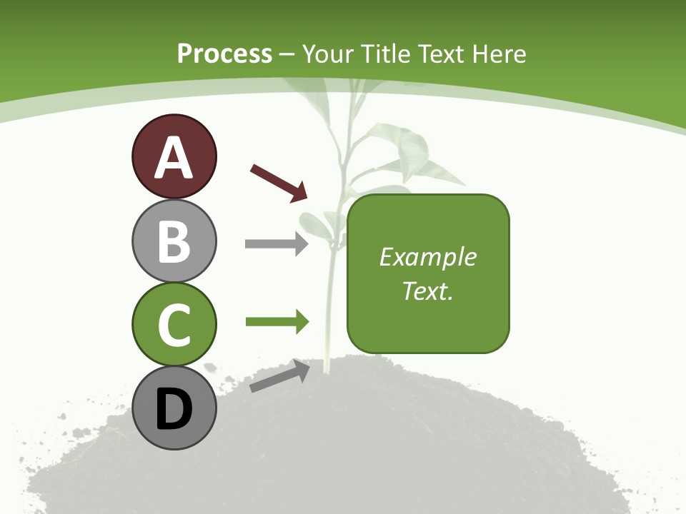 Leaf Fertility Stem PowerPoint Template