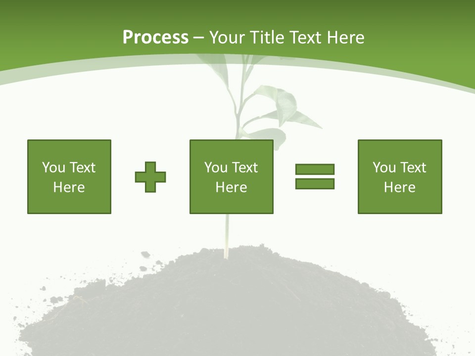 Leaf Fertility Stem PowerPoint Template