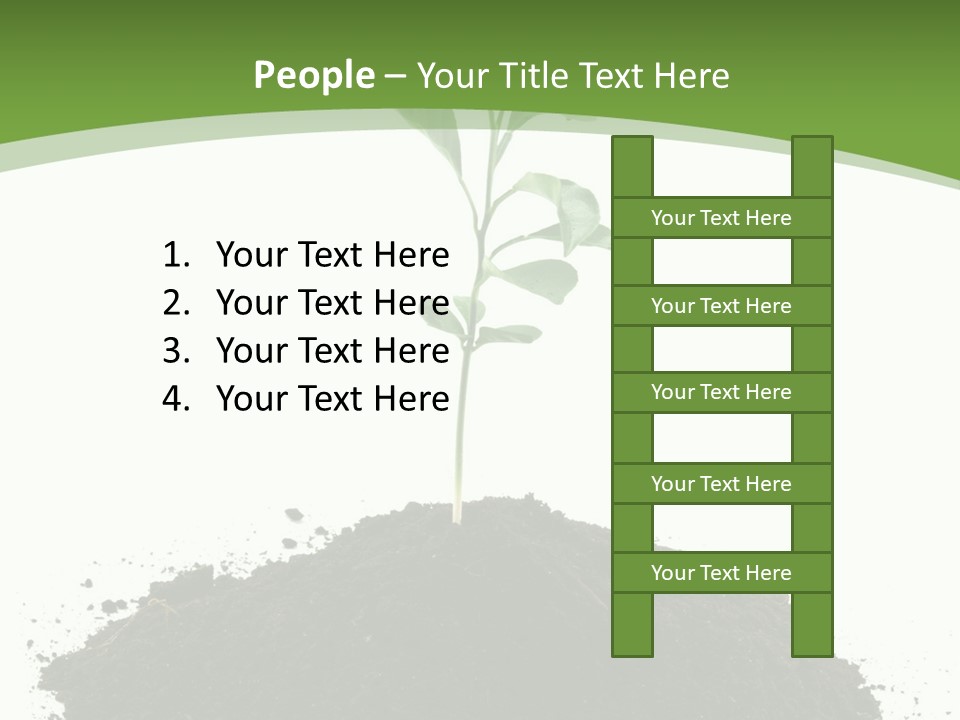 Leaf Fertility Stem PowerPoint Template
