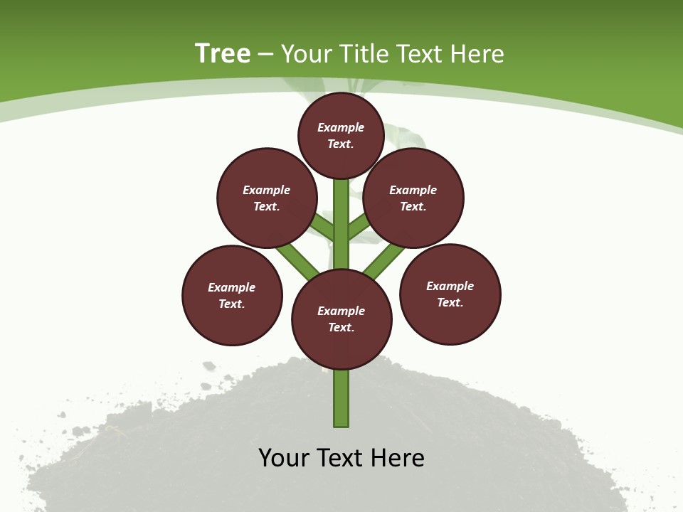 Leaf Fertility Stem PowerPoint Template