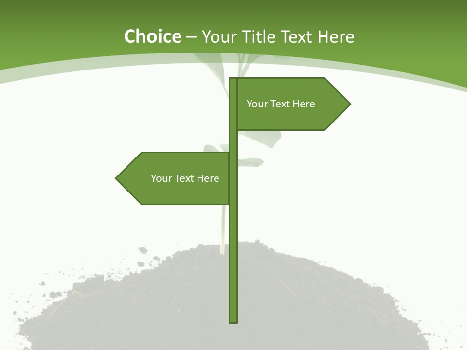 Leaf Fertility Stem PowerPoint Template