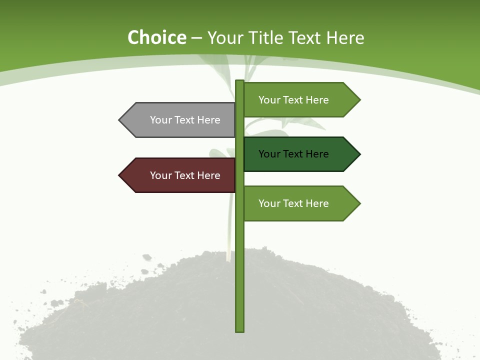 Leaf Fertility Stem PowerPoint Template